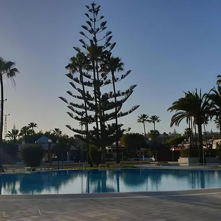 The Paradise * Maspalomas (Gran Canaria)