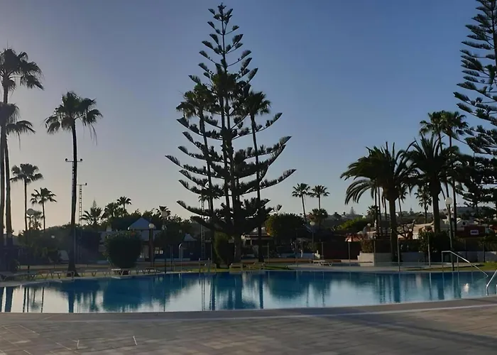 The Paradise * Maspalomas (Gran Canaria)